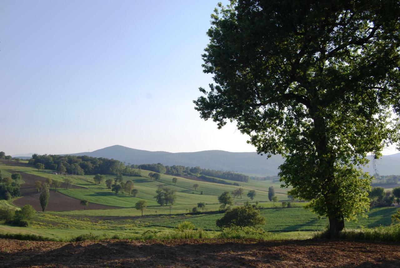 Bilocale Verde Umbria Montecastrilli Exteriér fotografie