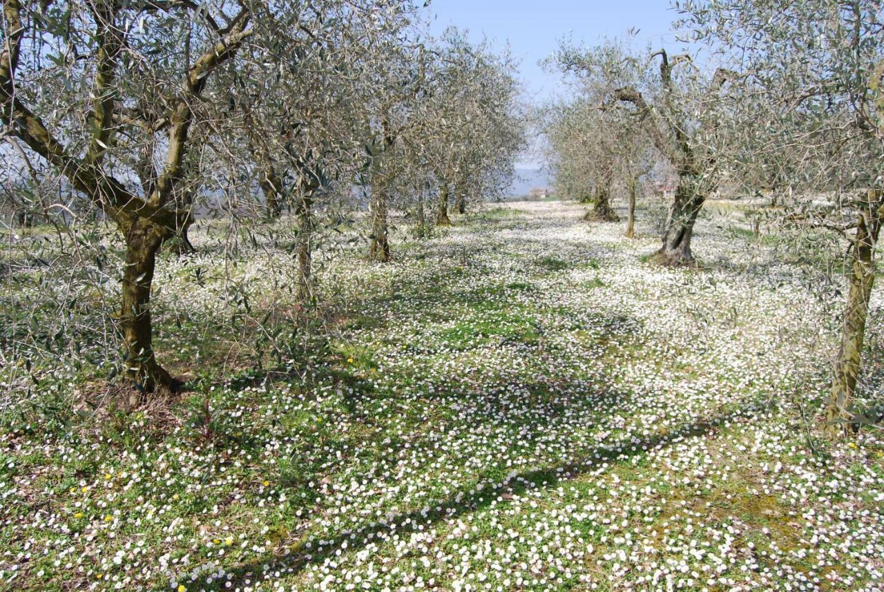 Bilocale Verde Umbria Montecastrilli Exteriér fotografie