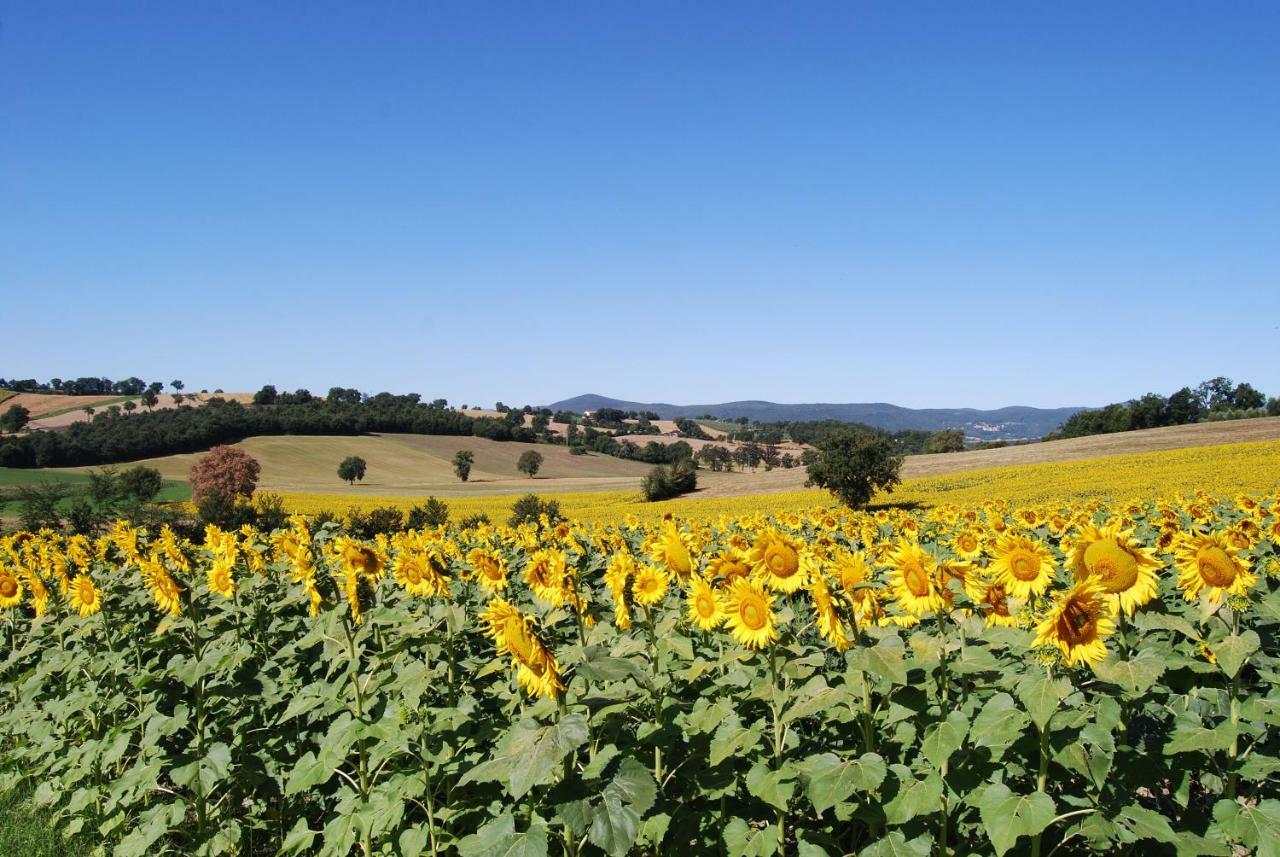 Bilocale Verde Umbria Montecastrilli Exteriér fotografie